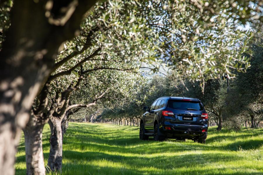  Ford Everest Sport 2019 года  (AU) (фото 6 из 8)